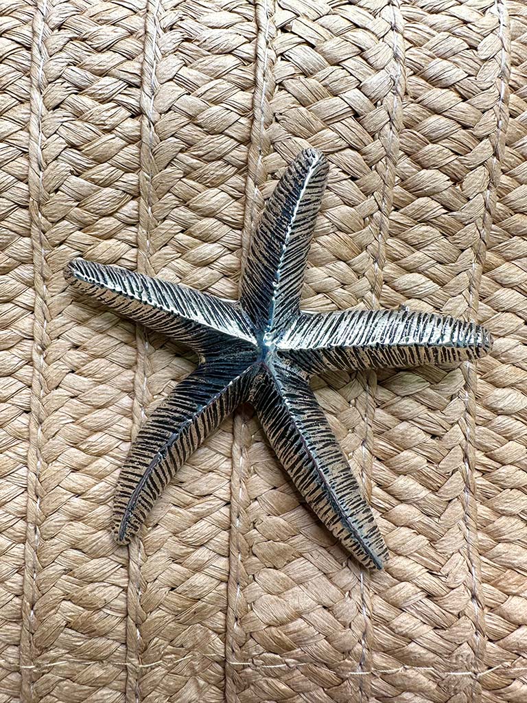 Malissa J Starfish Brooch - Silver