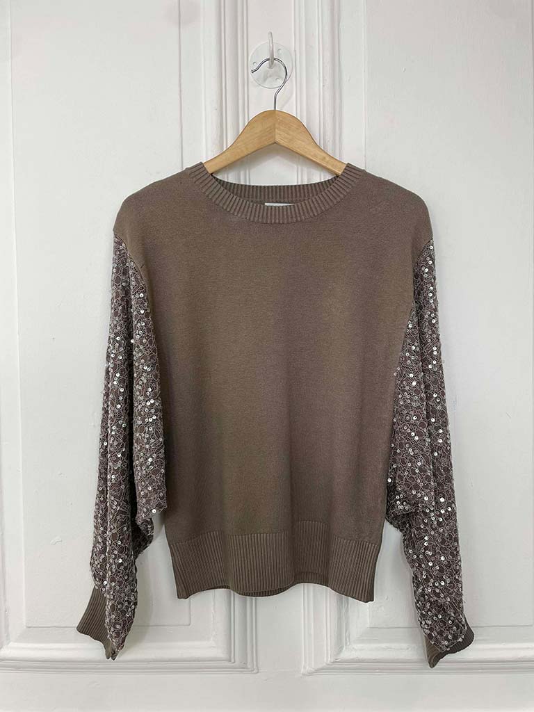 Sequin Lace Sleeve Knit - Taupe