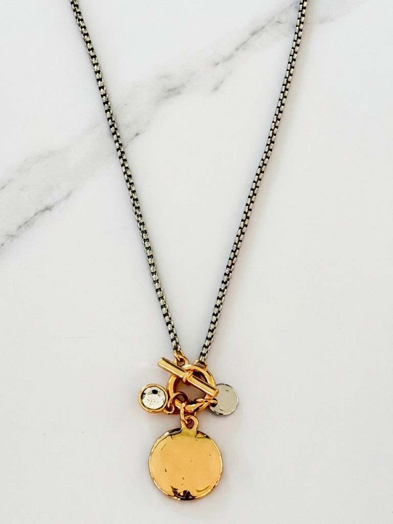 Envy Snake Chain Charm Necklace - Silver & Gold