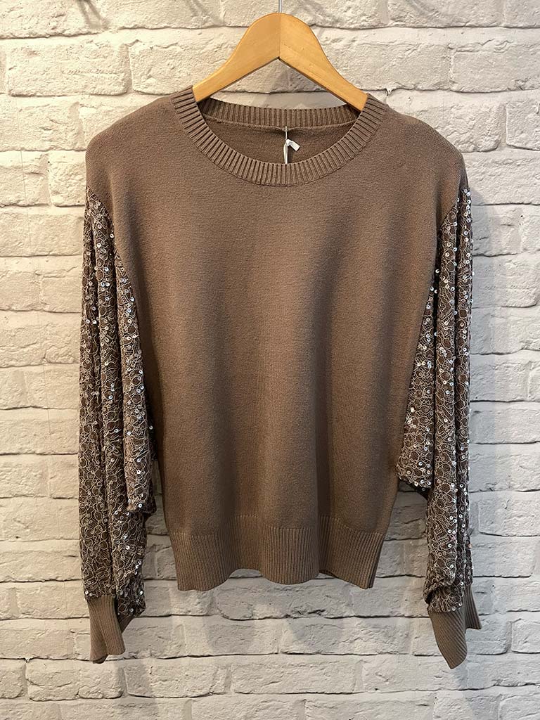 Sequin Lace Sleeve Knit - Taupe