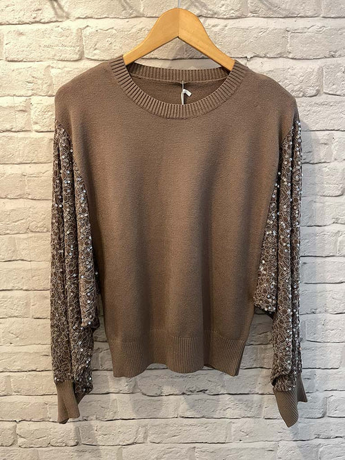Sequin Lace Sleeve Knit - Taupe