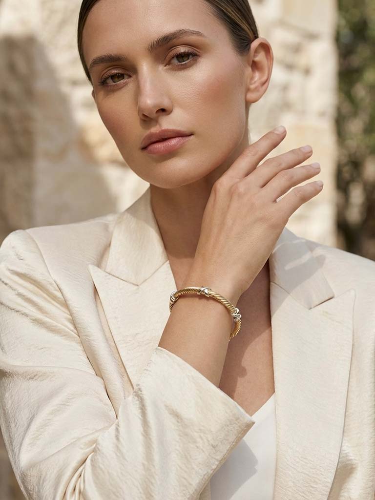 Envy X Bangle - Gold & Silver