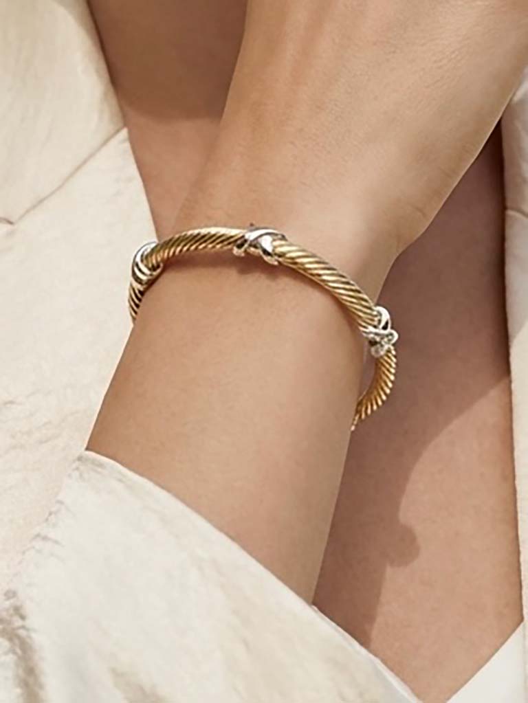 Envy X Bangle - Gold & Silver