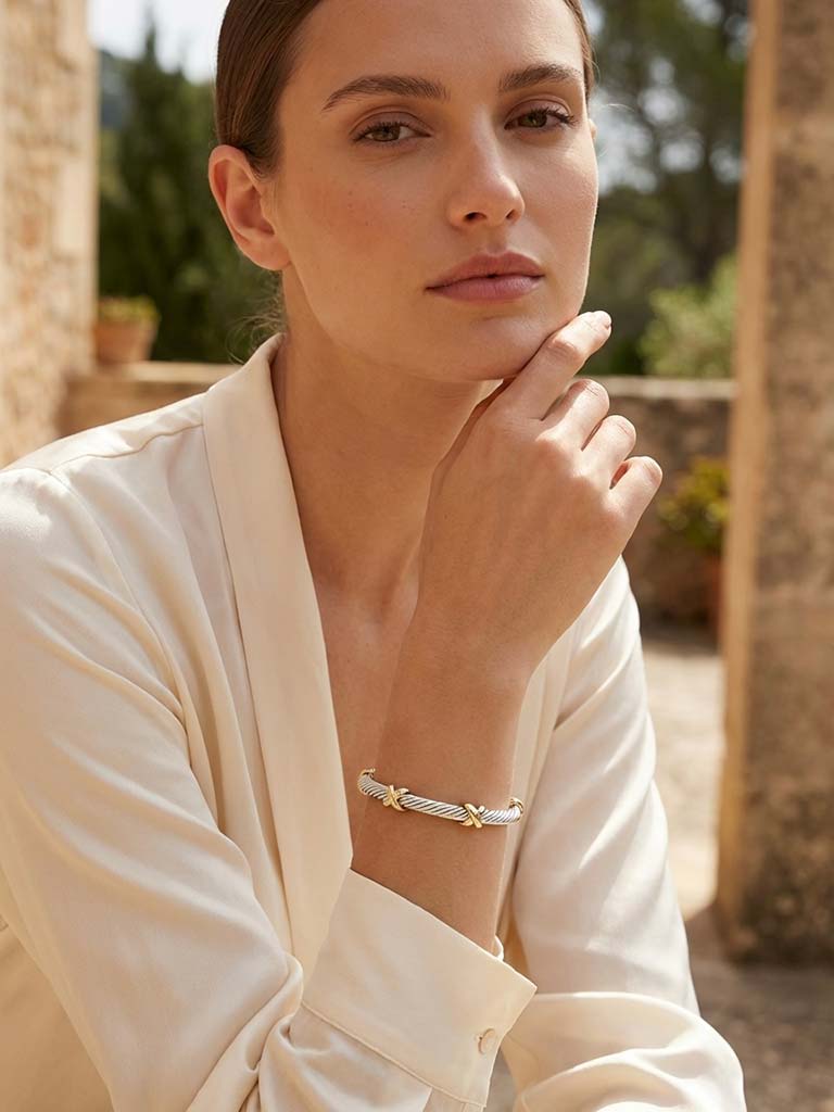 Envy X Bangle - Silver & Gold